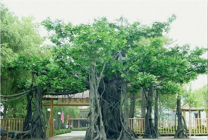 �����٘���T�����T�^��ɽ�T�^����Ř侰�^(q��)��ʯɽ�Tˮ���O(sh��)Ӌʩ��