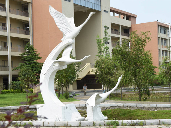 �F�ڴ�����˂���ϲ�g�����P䓵�������߀�Ǿ����P䓵��ܣ�